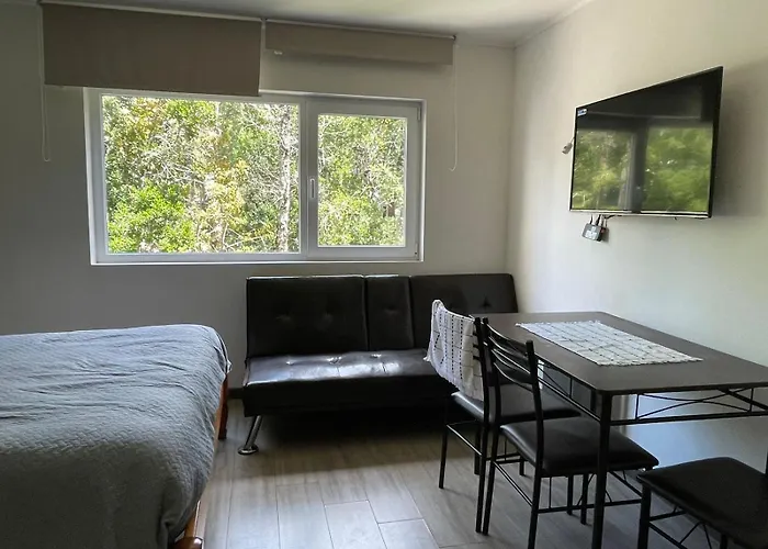 Depto Estudio Ubicado En Condominio Pucon Andino